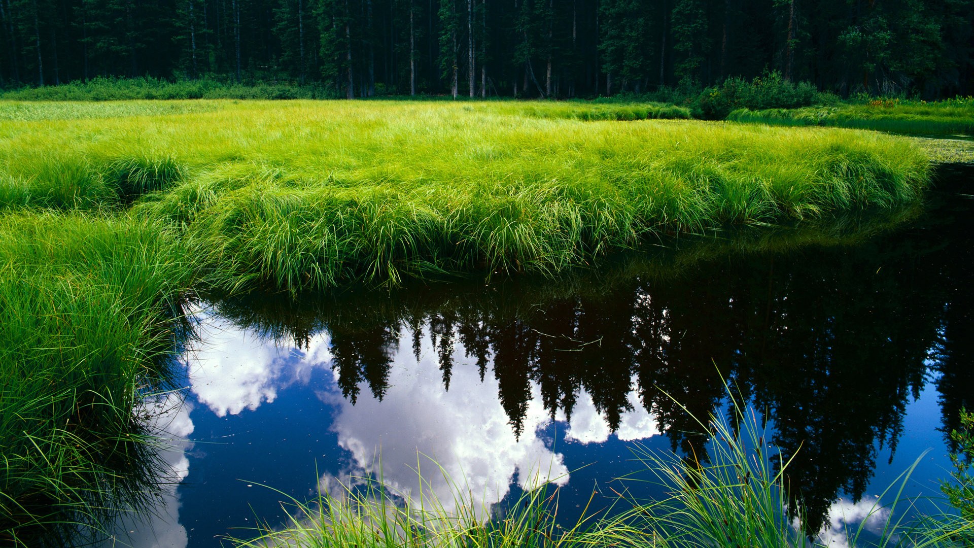 开云体育app-库尔图瓦神扑挽狂澜,冰岛加时铸传奇—足球之夜的双重奏