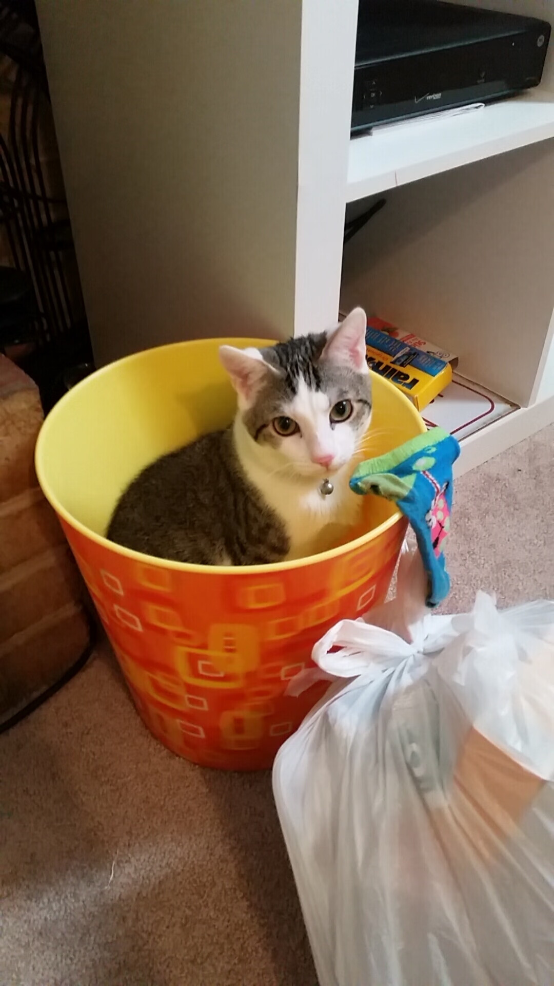 深不可测,一场颠覆预期的年度焦点之战,深圳队如何将奇才拖入泥潭并完成致命一击