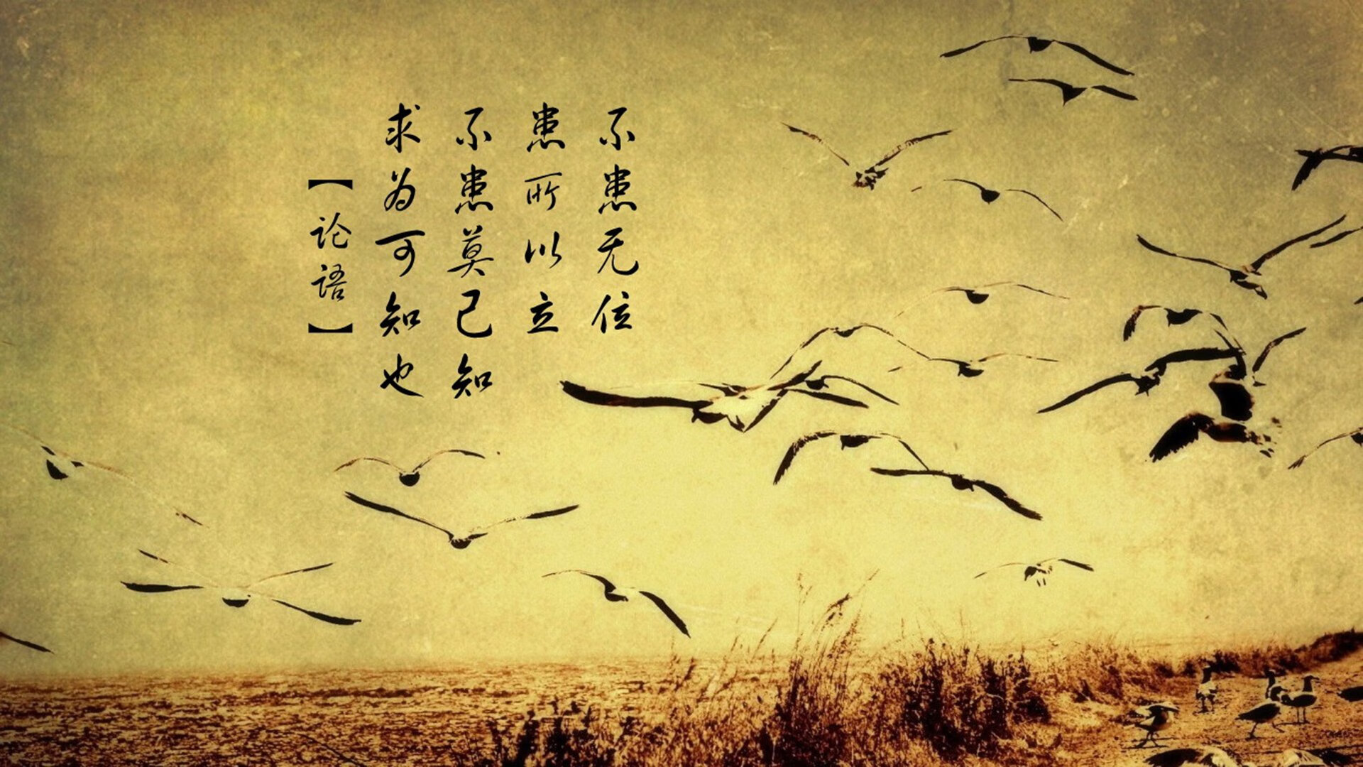 幽灵车手,F1街道赛之夜,克瓦拉茨赫利亚在绝望压力下的史诗爆发