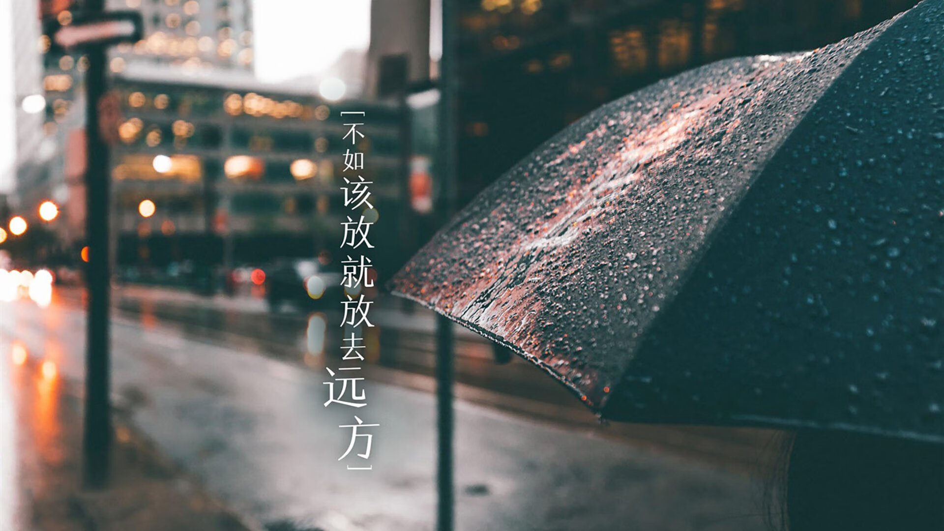 当绿茵遇上赛道，多特蒙德与恩佐演绎唯一性的终极形态