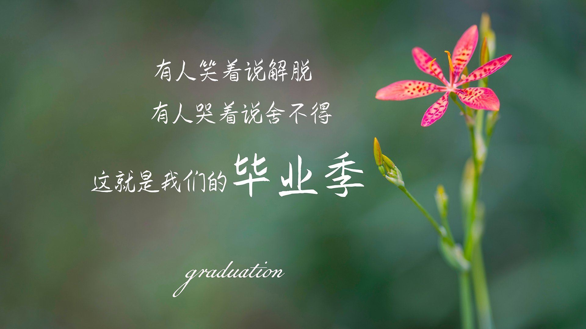 以下是为您构思的标题与文章内容